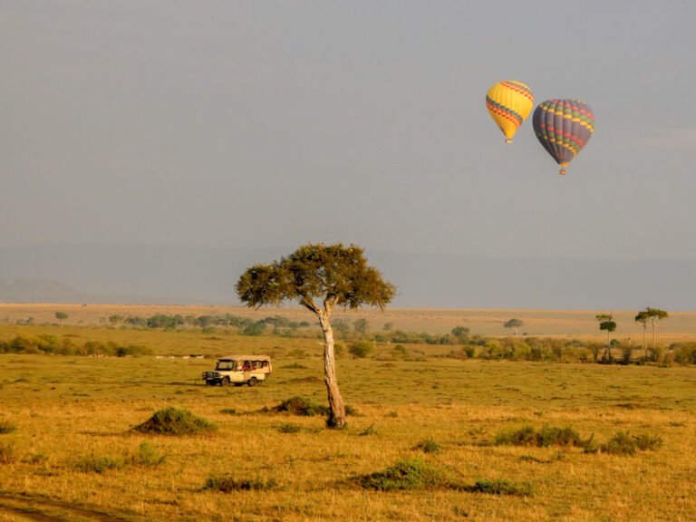 Kenia, Tanzania y Zanzíbar 2026